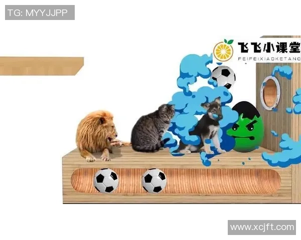 蛋猪足球：探索新兴运动如何改变传统竞技格局与社会文化互动